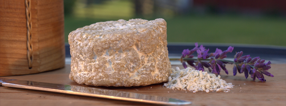 Hårda ostar och mejeriprodukter